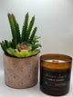 Cactus Flower Candle